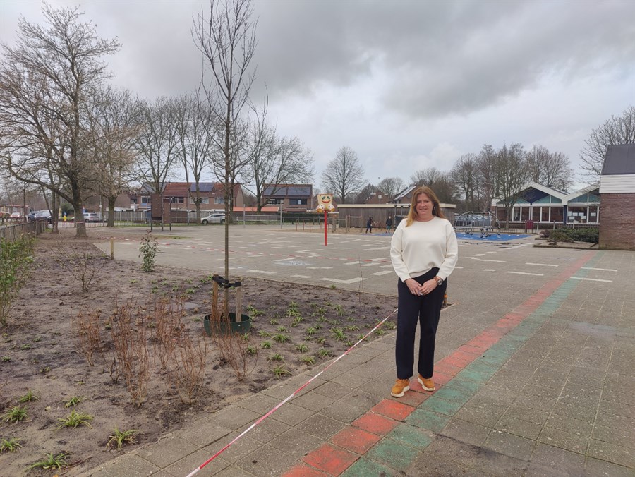 Bericht Vernieuwing schoolplein Bargerpaske bekijken